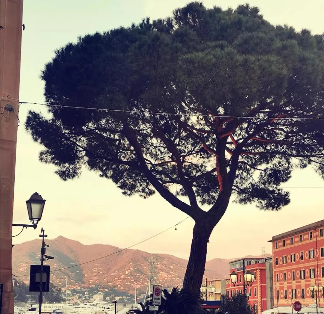 Il Porto Di Santa - A Un Passo Da Portofino Apartment Santa Margherita Ligure Italy